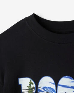 Greetings From North T-Shirt -Roots Clothing 27160095 001 d