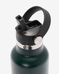 Roots Water Bottle -Roots Clothing 45040502 232 d