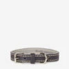 Extra Small Leather Dog Collar