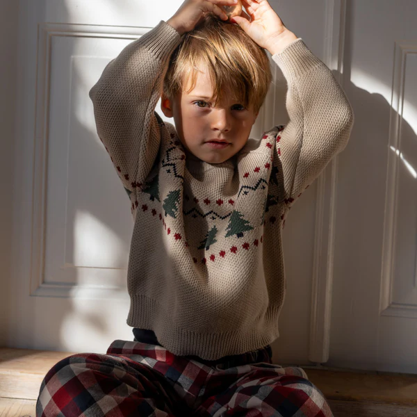 Roots Clothing -Roots Clothing Trousers Sasha Trousers 2706 464 GOTS 9588 red blue check 1 3653881a 8d6d 4921 932a